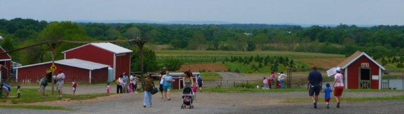 farm landscape photo